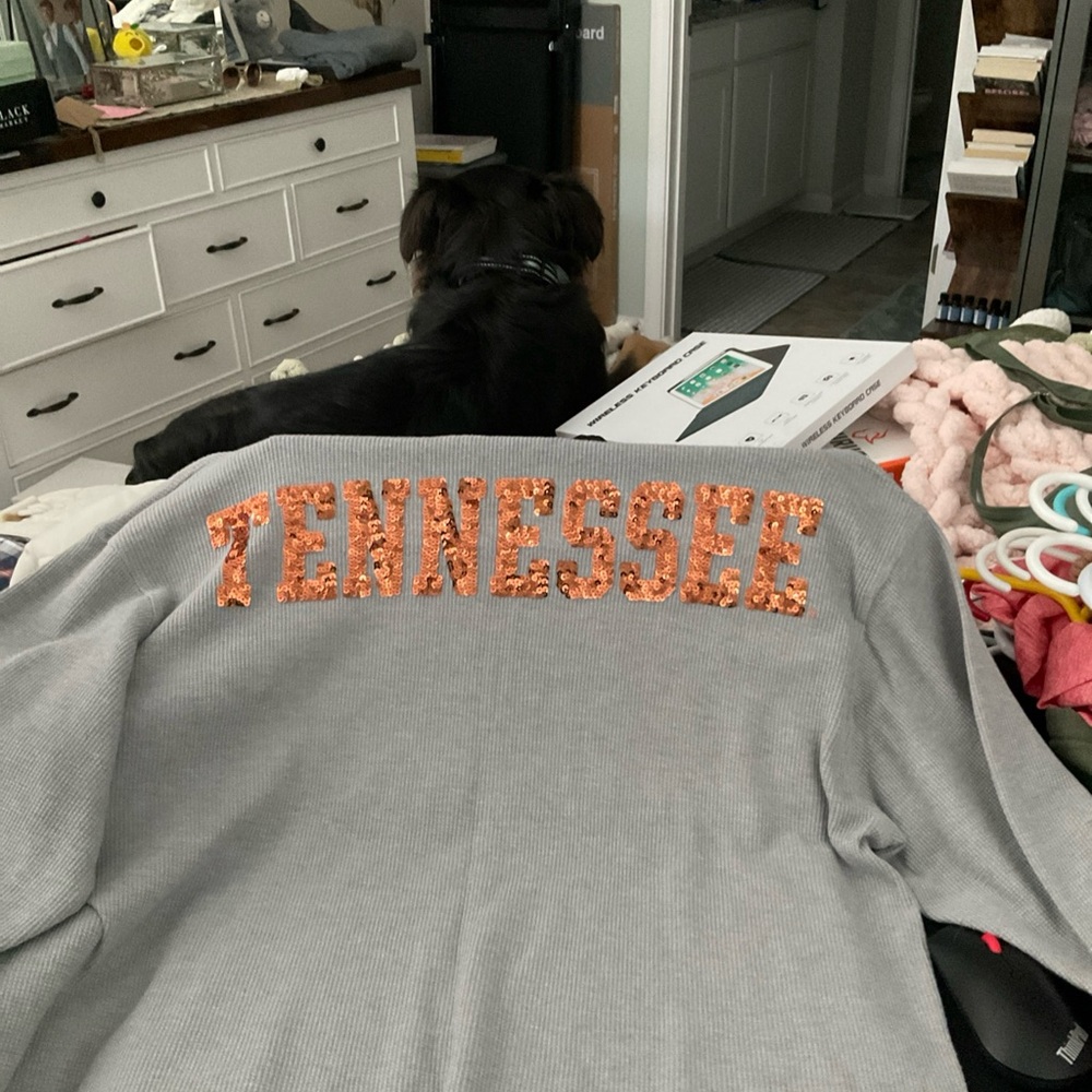 PINK Victoria's Secret Gray Crop Top with Orange Tennessee Lettering